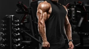 Best Exercises for Bigger Triceps: Complete Triceps Workout Guide